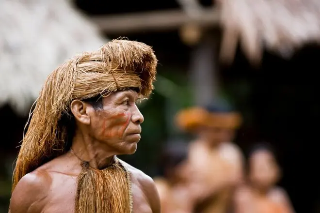 Amazon Rainforest 3-Day Tour: Indigenous Tribes & Wildlife