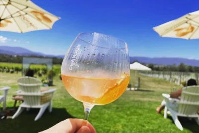 Yarra valley entdecken: wein, käse & schokolade probieren, prickelnder stopp bei chandon und wilde kängurus hautnah erleben. inkl. abholung & kleine gruppe.