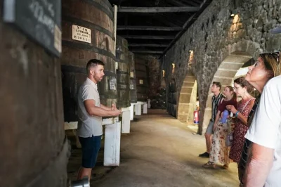 Scopri porto con un tour tra tre cantine uniche, sette degustazioni di vino porto e una guida locale esperta. gruppo piccolo, distanze brevi e storie autentiche.