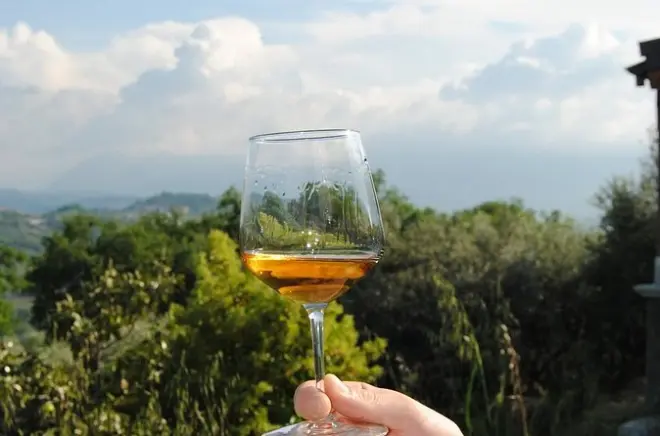 Villamagna winery tour and tasting: 3 wines with vineyard walk
