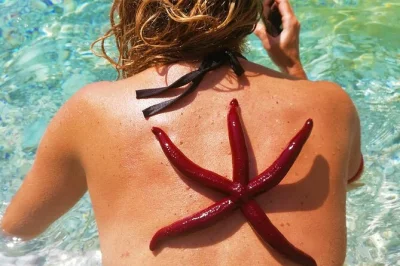 Paddle from mikros gialos along lefkada’s wild coastline, explore the blue cave, swim at hidden beaches, and share a greek lunch—guided, with equipment included.