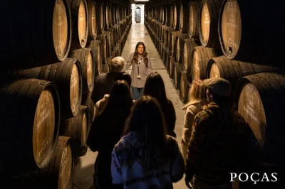 Entra nelle cantine storiche poças a porto con una guida locale, assaggia tre vini porto unici e scopri i segreti della valle del douro—con degustazione e snack inclusi.