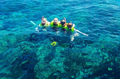 Partez de key west vers le seul récif corallien vivant d’amérique du nord, faites du snorkeling avec un guide local, savourez des boissons artisanales à bord et profitez d’une ambiance intimist