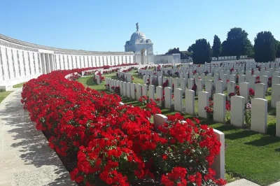 Walk preserved trenches, visit tyne cot cemetery, and hear local stories on this ypres and passchendaele battlefield tour. includes air-conditioned transport.