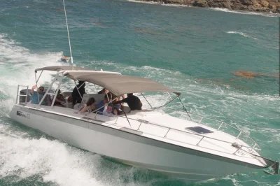 Feel the rush of a power boat, swim with turtles at tintamarre island, and snack on fresh french bread. small group adventure with snorkeling gear and drinks included.