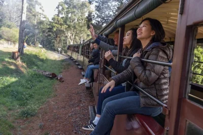 Erlebe die dandenong ranges mit der puffing billy dampflok, triff koalas im healesville sanctuary und genieße eine malerische fahrt durchs yarra valley – inklusive zugticket & parkeintritt.