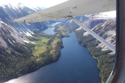 Descubre la belleza salvaje de misty fjords desde tu asiento junto a la ventana en un vuelo de 1 hora desde ketchikan, con un piloto local. incluye recogida y auriculares.