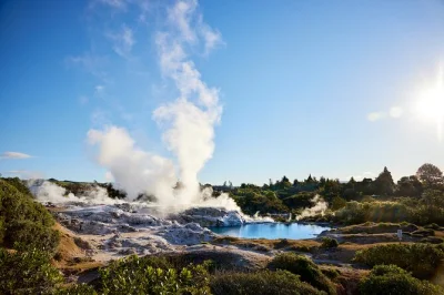 Feel the warmth of rotorua’s whakarewarewa village, taste corn cooked in hot pools, and wander geothermal trails with local stories. entry and guided tour included.