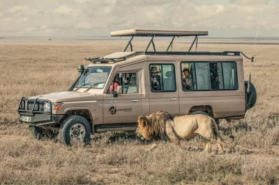 Wake up to wild sounds in tanzania’s serengeti, spot wildlife at lake manyara, and descend into ngorongoro crater. includes all park fees, lodges, meals, and local guide.