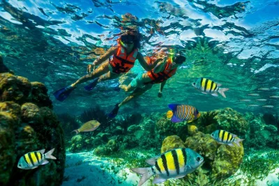 Swim the great maya reef near cancun, spot colorful fish, and enjoy a relaxed beachside lunch in puerto morelos. includes hotel pickup and snorkel gear.