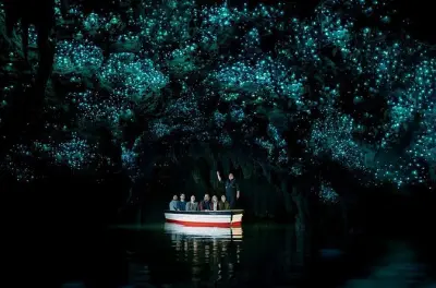 Waitomo Glowworm Caves boat tour: Under thousands of lights