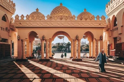 Step inside hurghada’s el mina mosque, wander the lively fish market, and stroll the marina with a local guide—private transfer and shopping stop included.