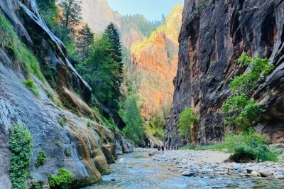 Wade the zion narrows with a private guide, canyon boots, and a riverside charcuterie picnic. includes gear, snacks, and flexible pace—book your hike today.