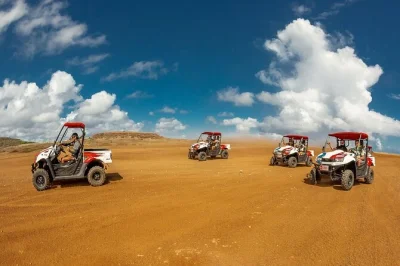Feel aruba’s wild coast in a 2-seater utv, swim in a hidden cave pool, explore gold mill ruins and rock formations, with pickup and local guide included.