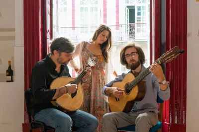 Porto, fado e vino porto: vivi un concerto dal vivo con stili di lisbona e coimbra e un calice di tawny port incluso. accessibile in sedia a rotelle.