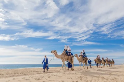 Ride camels on a quiet baja beach, taste homemade mexican food, and sample tequila with local guides. includes hotel pickup and lunch by the sea.