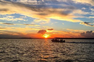 Hilton head: delfine bei sonnenuntergang beobachten, die salzmarschen entdecken und spannende geschichten vom kapitän hören. inkl. wasser und tierbeobachtung.
