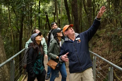 Feel the rush on blue mountains’ scenic railway, meet koalas at featherdale or sydney zoo, savor a sit-down lunch, and cruise back to sydney harbour—all in one day.