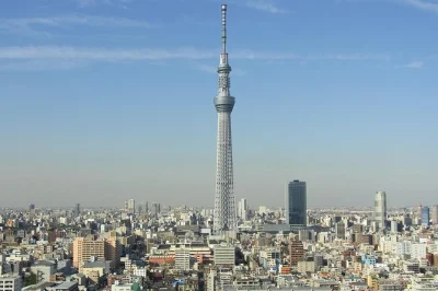 Feel the pulse of tokyo in one day—meiji shrine, asakusa temples, matcha tasting, skytree views, and a tokyo bay cruise. includes pickup & lunch.