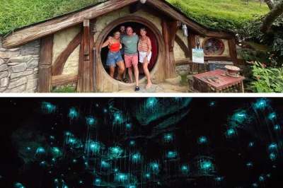 Step into hobbiton, explore waitomo glowworm caves, and enjoy a small-group day trip from auckland with included lunch and local guide. pickup available.