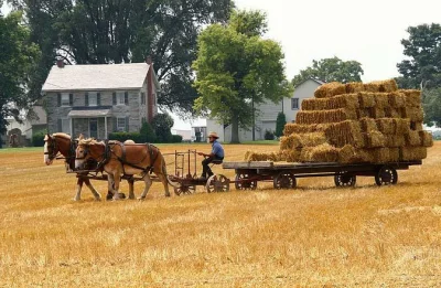 Découvrez le pays amish de lancaster avec une visite guidée des fermes, le poignant film jacob’s choice et une balade dans une maison amish, le tout avec des guides locaux et un transport facile.