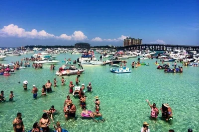 Desde destin, navega con un capitán local hasta crab island, disfruta de avistamiento de delfines, paddle boards y equipo de snorkel incluidos. trae tus bebidas, apto para todas las edades.