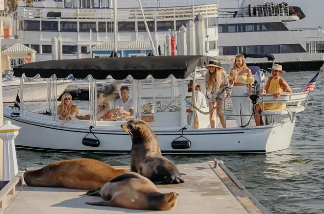 Paseo en barco eléctrico en Marina del Rey con vino y leones marinos
