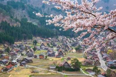 Step into the quiet lanes of shirakawa-go and takayama, explore gassho-zukuri farmhouses, stroll edo-era streets, and enjoy a private charter with flexible pickup.