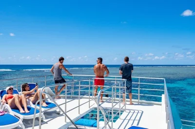 Descubre tres increíbles sitios para hacer snorkel en el gran arrecife desde port douglas con guía local, almuerzo buffet y todo el equipo incluido—reserva ya.