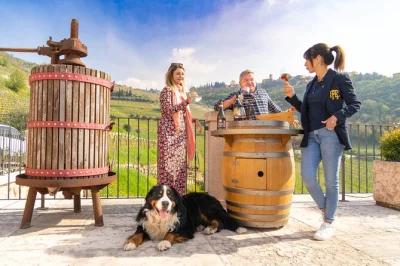 Valpolicella, amarone, weinverkostung bei winzern, traditionelles veroneser mittagessen mit lokalen weinen, abholung und zertifizierter guide inklusive.