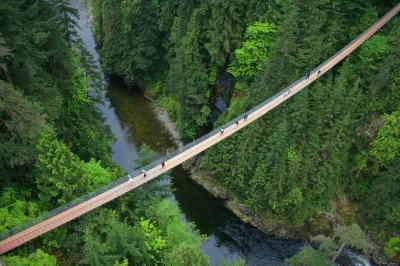 Erlebe die schwankende capilano hängebrücke, genieße die aussicht vom vancouver lookout und schlendere an den totempfählen im stanley park – inklusive hoteltransfer und eintritt.