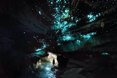 Step into waitomo’s private caves with a local guide, scramble over boulders, see glowworms up close, and enjoy tea after your small-group caving tour.