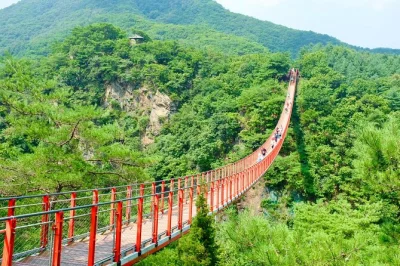 Walk the dmz near seoul, cross the gamaksan red suspension bridge, explore the 3rd tunnel and gaze into north korea—includes pickup and expert guide.