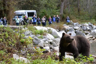 Entdecke bute inlet mit grizzlybären, walbeobachtung und spannenden geschichten der homalco first nation. inklusive snacks, einheimischem guide und beheizter bootsfahrt.