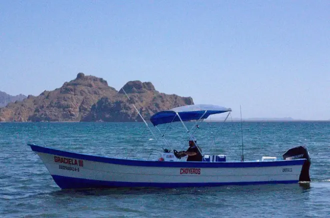 Pesca privada en Loreto: 6 horas en el mar de Cortés