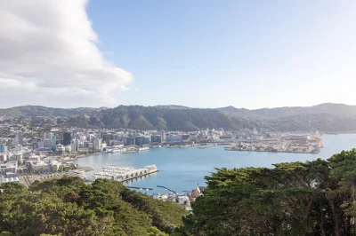 Sinta o vento de wellington, viaje no famoso cable car, explore a weta cave e passeie pelos jardins de rosas, tudo com guia local e pickup fácil no hotel ou porto de cruzeiro.