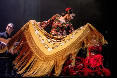 Erlebe sevilla live mit flamenco im teatro flamenco sevilla. leidenschaftlicher tanz, echte musik und lokale künstler – tickets mit flexibler platzwahl.