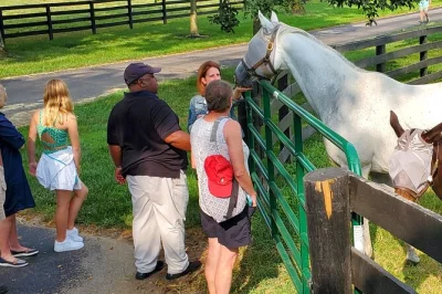 Feel kentucky’s horse country up close on a lexington tour with private farm access, meet thoroughbreds, see yearlings swim, and travel with a local guide in comfort.