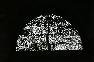 Explore ahmedabad’s unesco world heritage sites by private car. visit sabarmati ashram, step wells, jain temples & the tree of life. guide & lunch included.