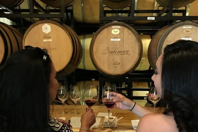 Fredericksburg : 3 vignobles et vues sur la Hill Country