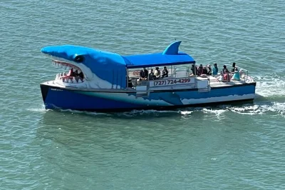 Erlebe die mega bite delfin-tour in clearwater beach – fahre mit einem hai-boot, entdecke verspielte delfine und bewundere promi-villen. inklusive 1-stündiger kommentierter fahrt.
