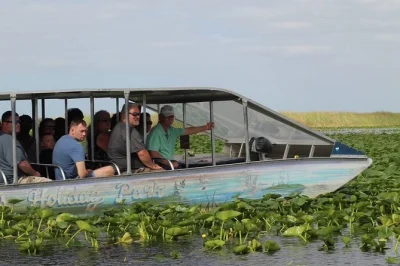 Erlebe die wilde seite von miami bei einer kleinen everglades-airboat-tour mit hotelabholung, lokalem guide und hautnahen begegnungen mit geretteten alligatoren.