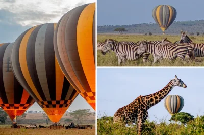 Float at sunrise above serengeti wildlife, sip coffee in the sky, and share a champagne bush breakfast after landing. includes hotel pickup and local guide.