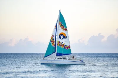 Feel the ocean breeze on a kona sunset catamaran sail, with local drinks, snacks, and possible dolphin sightings. includes unlimited beverages and easy boarding.