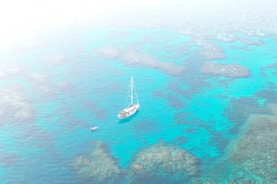 Feel the breeze on a sailing day cruise in efate with snorkeling, local beach visits, and a bbq lunch onboard. includes hotel pickup and friendly crew.