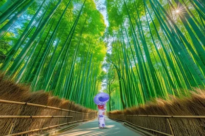 Découvrez les bambous de kyoto, approchez les cerfs qui s’inclinent à nara, et explorez des sanctuaires anciens — avec transport et guide depuis kyoto ou osaka.