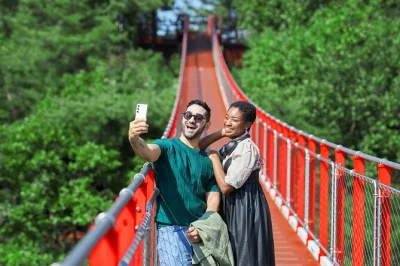 Feel the tension and history at korea’s dmz from seoul. walk the third tunnel, gaze into north korea, and cross the red suspension bridge. includes pickup.