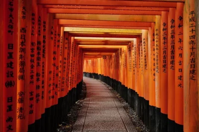 Erlebe kyoto im morgengrauen: stille gassen, die roten torii von fushimi inari, der bambuswald von arashiyama und der goldene kinkakuji – alles mit einem lokalen guide.