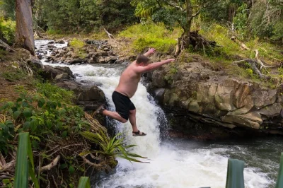 Erlebe auf maui abseits der hana highway eine geführte regenwaldwanderung in kleiner gruppe, schwimme unter wasserfällen und genieße ein lokales mittagessen – inklusive snacks und allem drum und 