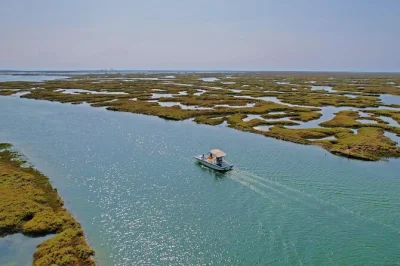 Scivola silenzioso nella laguna di ria formosa vicino a faro su una barca ecologica a energia solare, con guida locale e commento dal vivo. check-in semplice e natura pura.